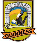 Guinness Hurling